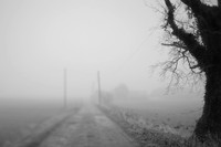 mist 2