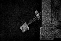 afterlife #10
