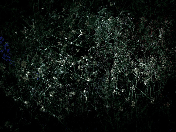 200616-3-21
