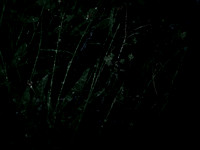 200616-3-11