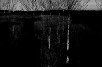 260316-1-17