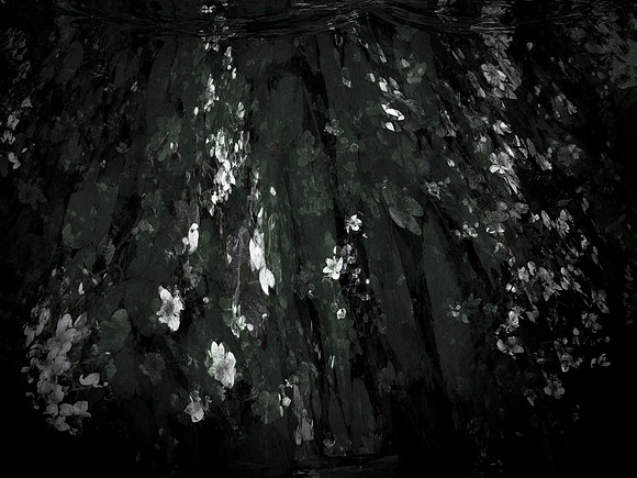 190616-12-6