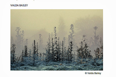 on landscape 63