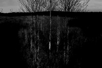 260316-1-10