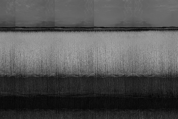 200316-2-19