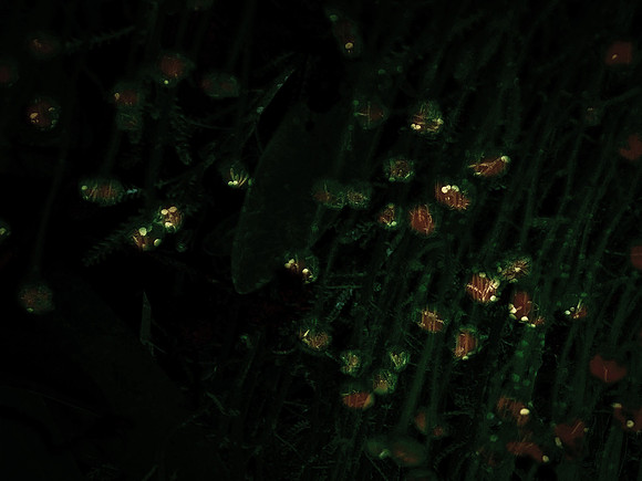 190616-4-18