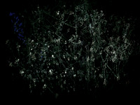 200616-3-1