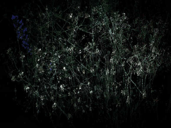 200616-3-1