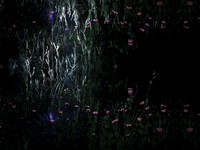 200616-2-3