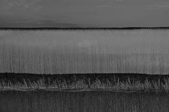 200316-2-14