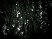 chrisfriel-memorial-4