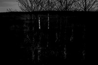 260316-1-2