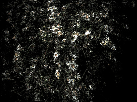 160616-8-11