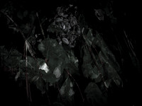 chrisfriel-memorial-3
