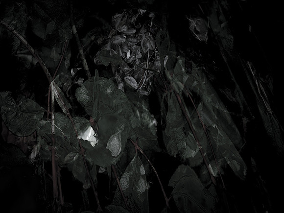 chrisfriel-memorial-3