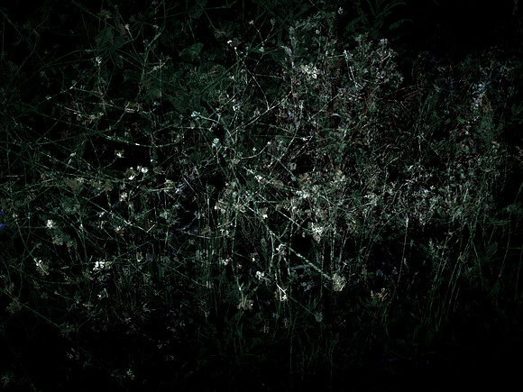 200616-3-35