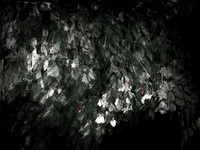 270616-2-20