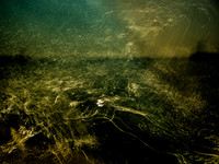 harbour 4 #61