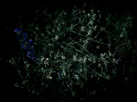 200616-3-2