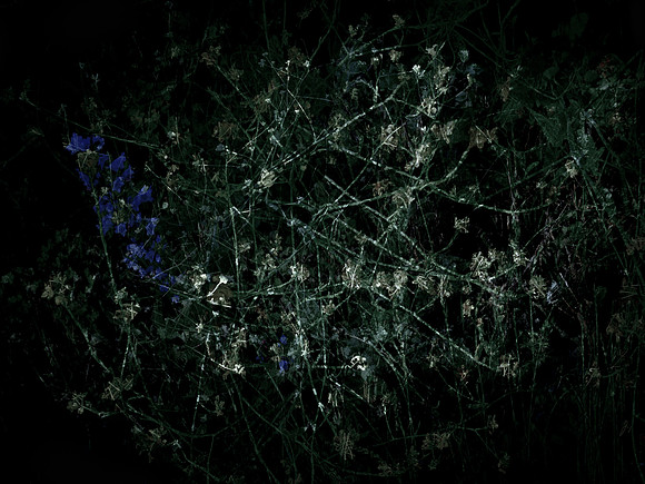 200616-3-2
