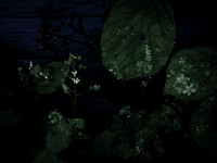 chrisfriel-memorial-19