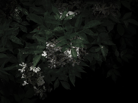 190616-3-3