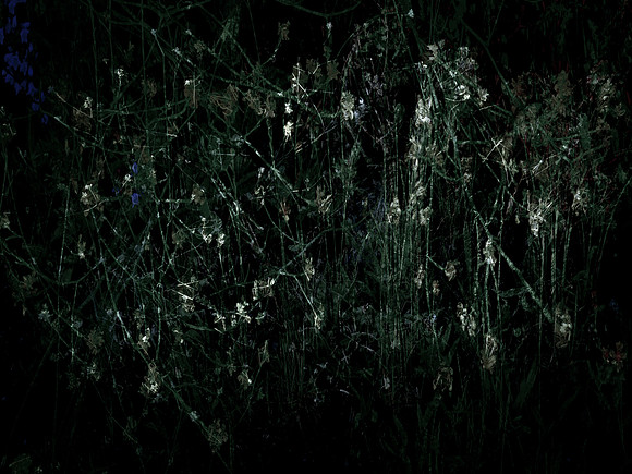 200616-3-22