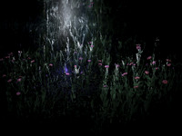 200616-2-8