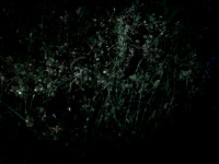 200616-3-13