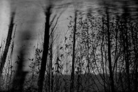 290316-1-9