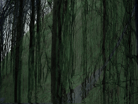 230715-1-23