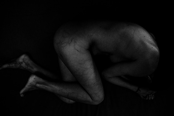 261114 #337