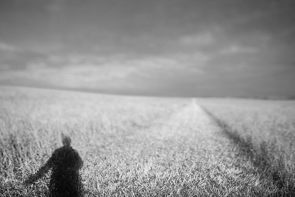 self portrait with field