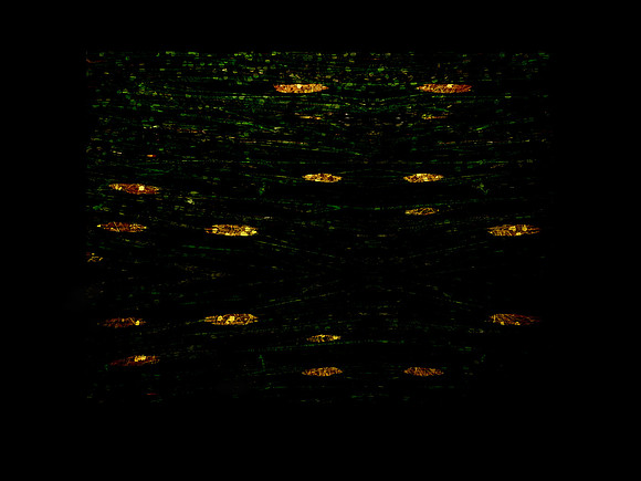 150616-5-1