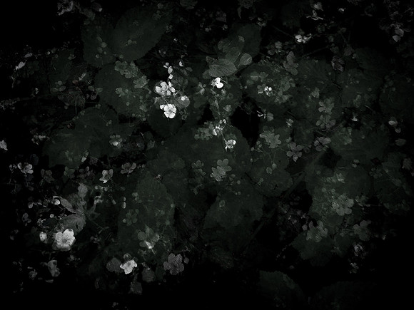 190616-9-20