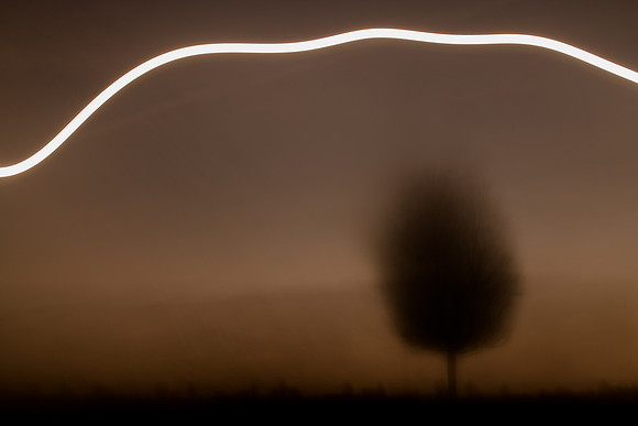 sunset over tree