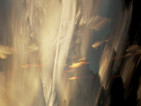 010816-3-12