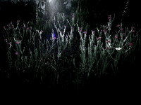 200616-2-11