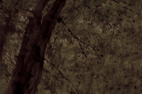 tree #9