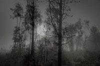 010516-1-6