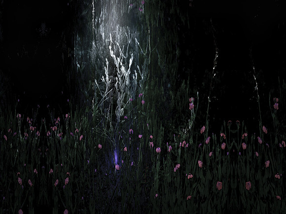 200616-2-1