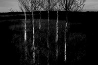 260316-1-13