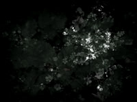 190616-9-14