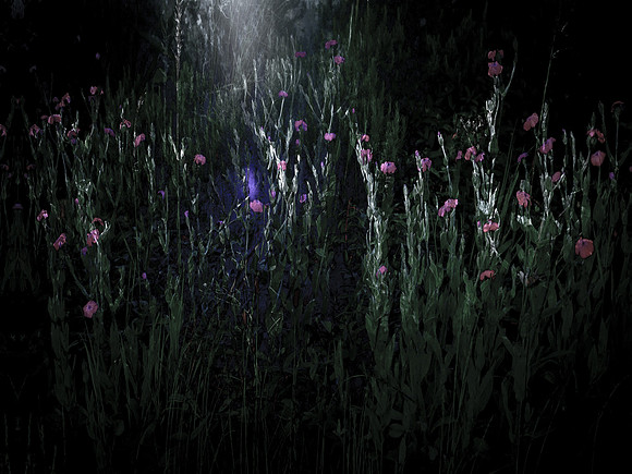 200616-2-9