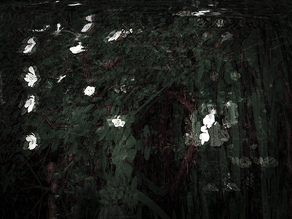 270616-3-5