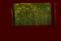 2011-10-14-286