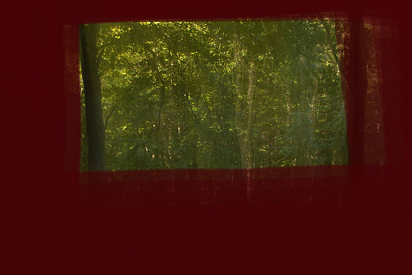 2011-10-14-286