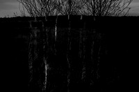260316-1-3
