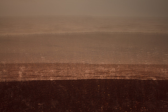 shoreline #23