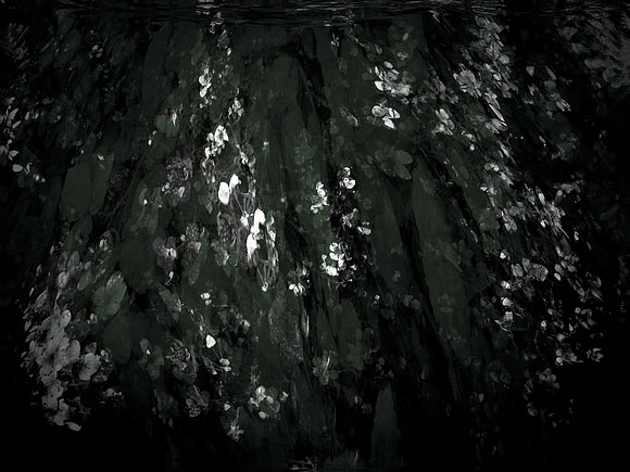 190616-12-2